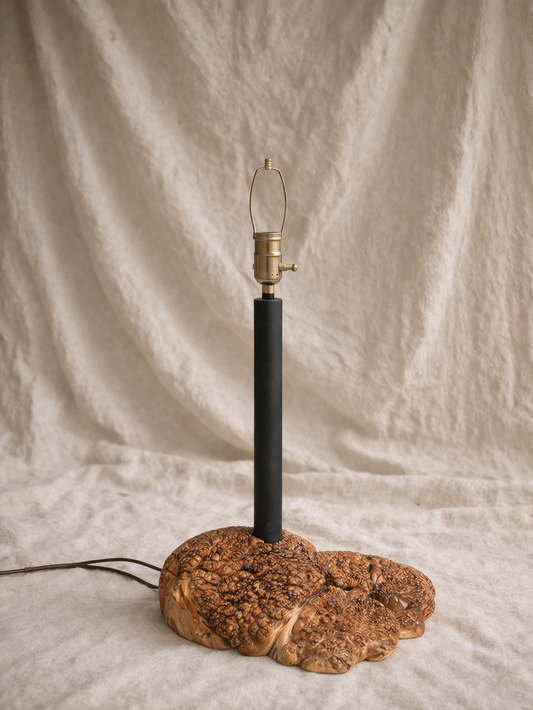 Maple Burl Table Lamp